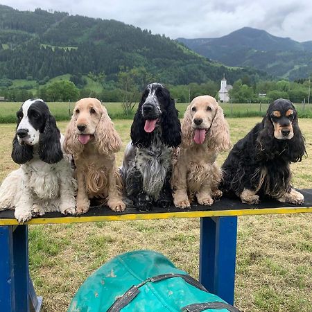 Chaletdorf Zellersee Maishofen Dış mekan fotoğraf