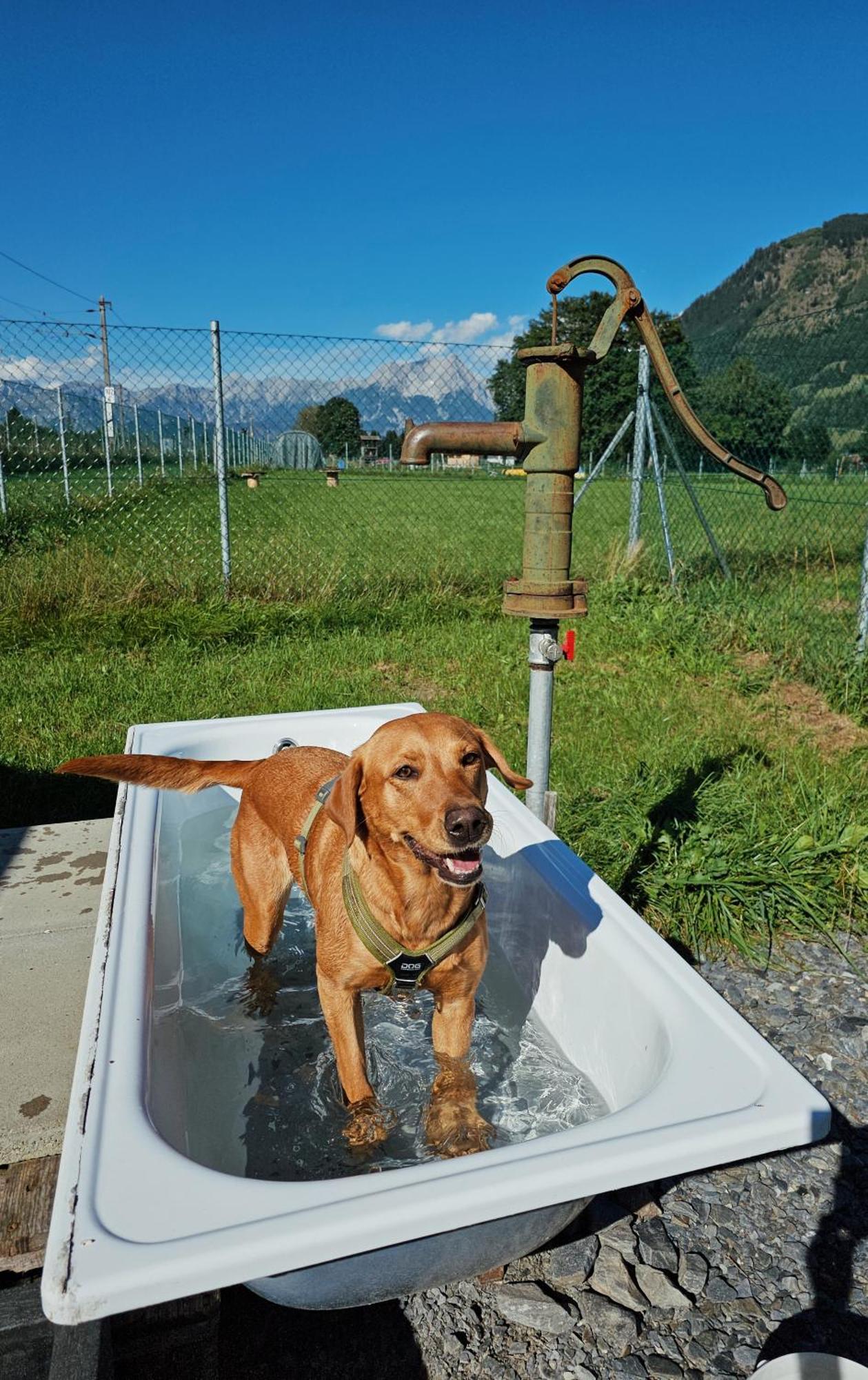 Chaletdorf Zellersee Maishofen Dış mekan fotoğraf