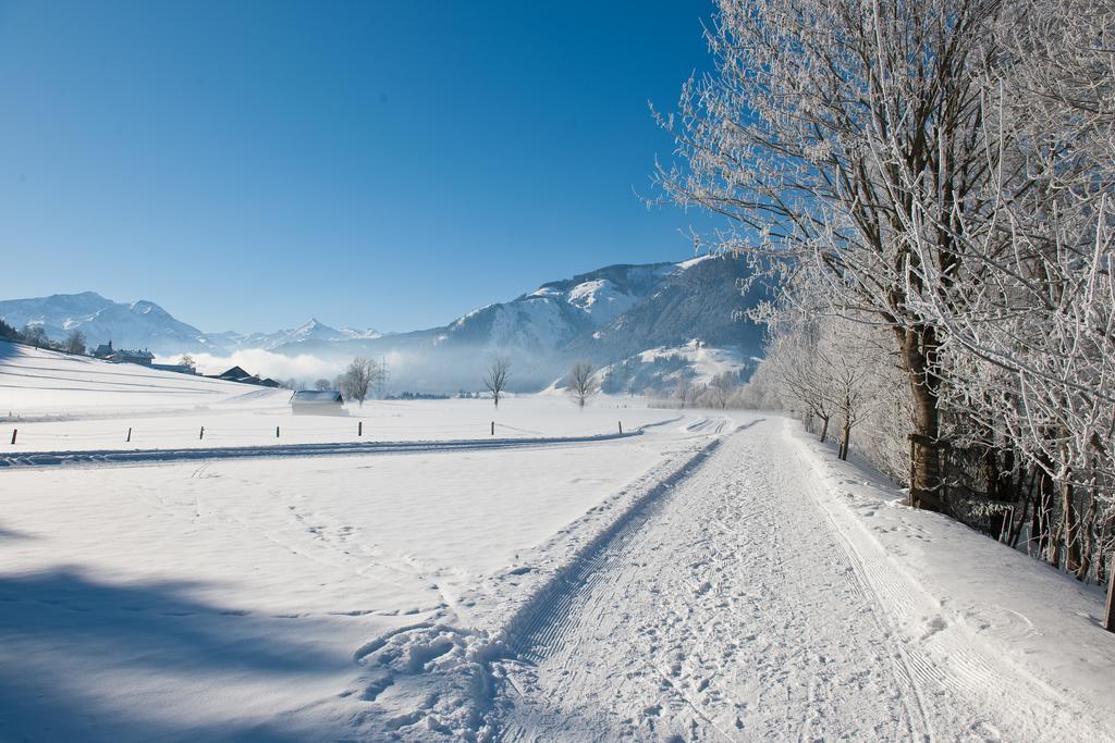 Chaletdorf Zellersee Maishofen Dış mekan fotoğraf
